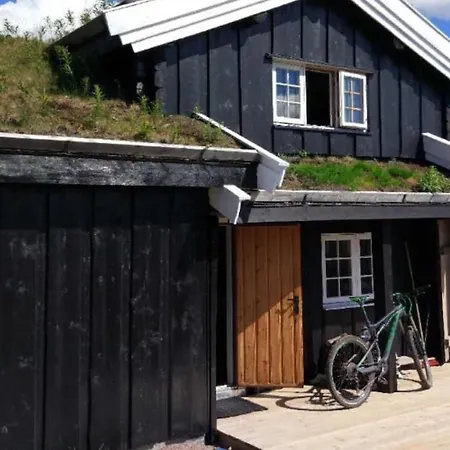 Bjonnhiet Holiday home *