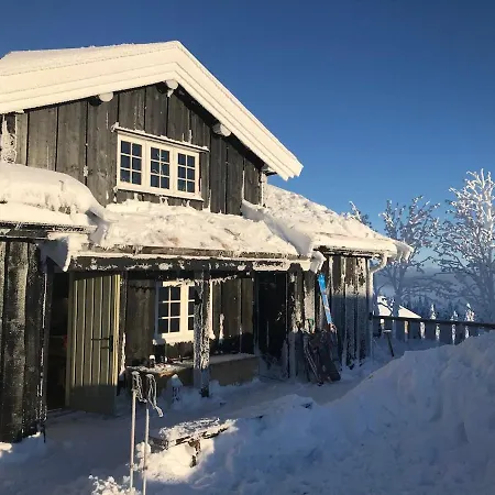 Bjonnhiet Holiday home Trysil