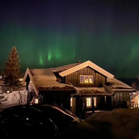 Feriehus Bjonnhiet *